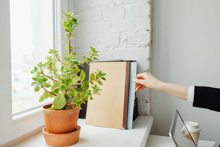 How to Create a Sustainable and Organised Home Office Space