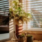 Tips for Creating a Cosy and Functional Home Office Space